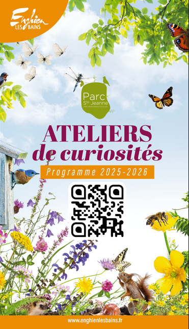 Atelier de curiosité