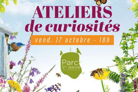 atelier de curiosité